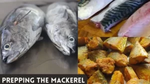 Prepping the Mackerel